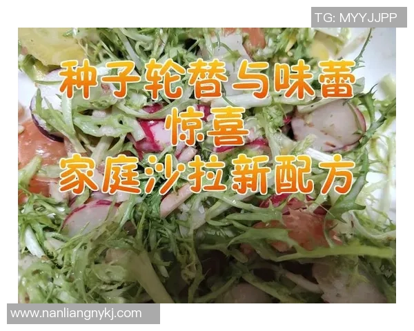 全球种子沙拉大赛盛大开启悉尼各国厨师齐聚争夺美食桂冠